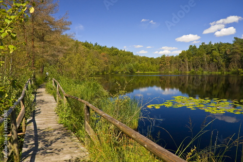 Müritz Nationalpark