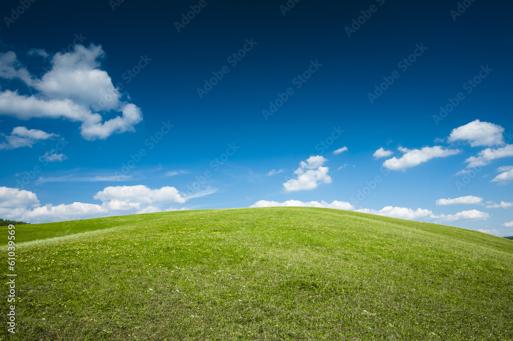 Green meadow and the blue sky