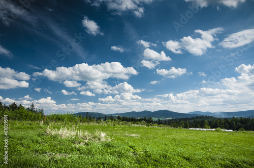 Green meadow and the blue sky