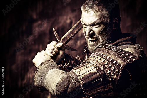 Obraz na plátně conqueror man