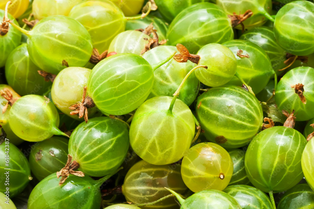 Gooseberries Gooseberries