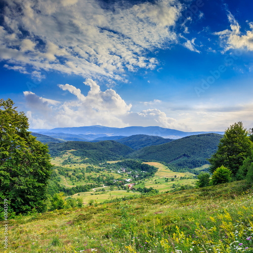 village on hillside meadow with forest in mountain