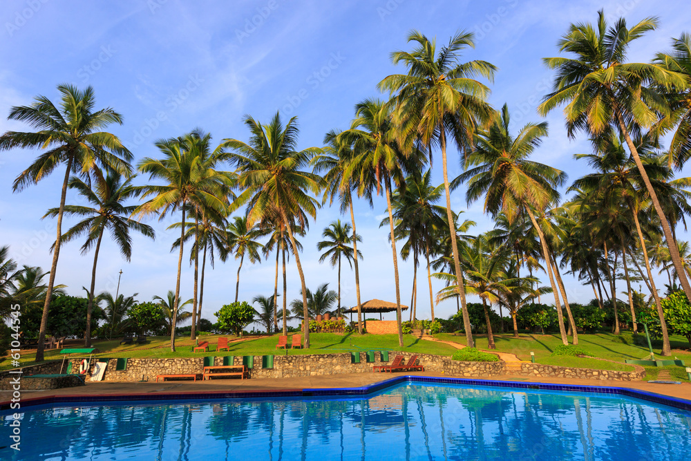 swimming pool among palm trees