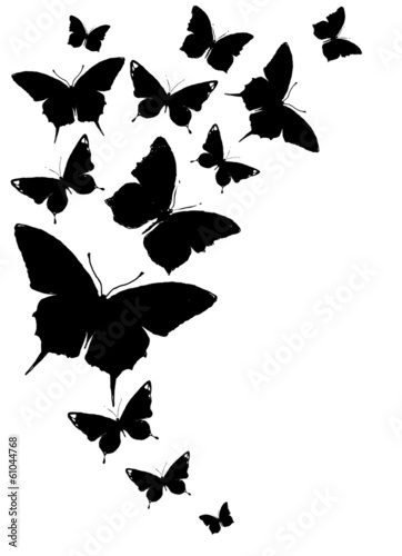 butterflies design