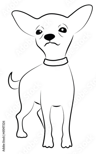Cute Chihuahua Representation
