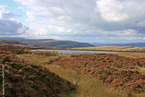 Pen-fford-gogh pond in Wales