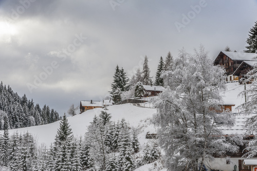 paesaggio invernale photo