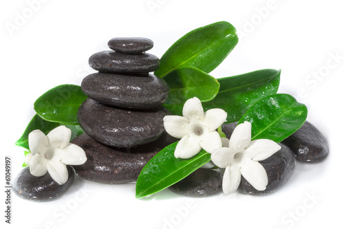 White flower and spa stones in water on white