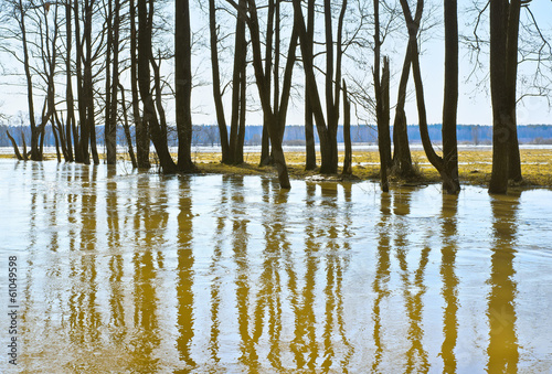 Bild auf Leinwand High water in spring
