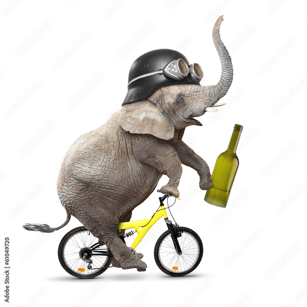 Obraz premium Drunken driver riding a bike. Traffic safety concept.