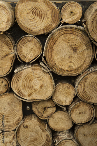 close up of logs of wood
