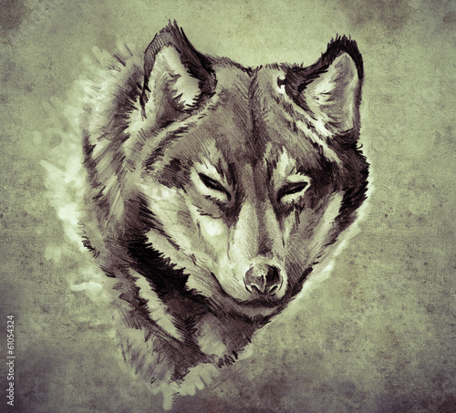 Szkic sztuki tatuażu, ilustracja głowy wilka