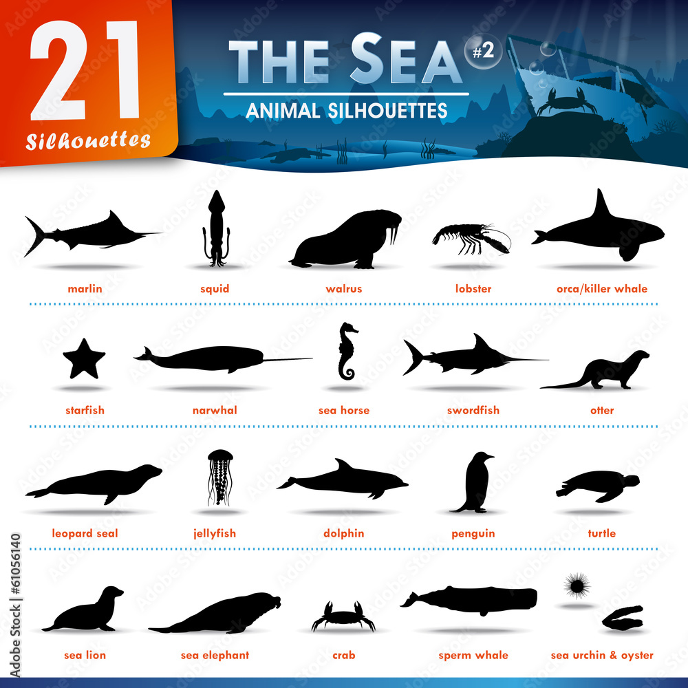 Naklejka premium 21 Sea animal silhouettes #2