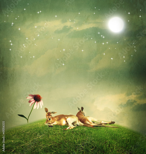 Obraz na plátně Kangaroo couple relaxing on hilltop
