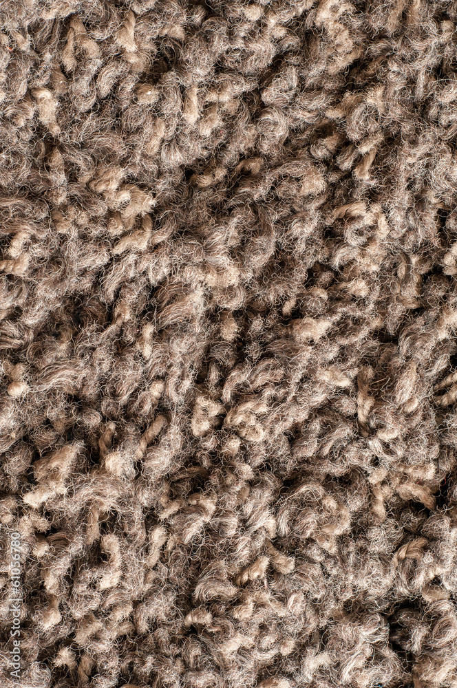 Texture Texture