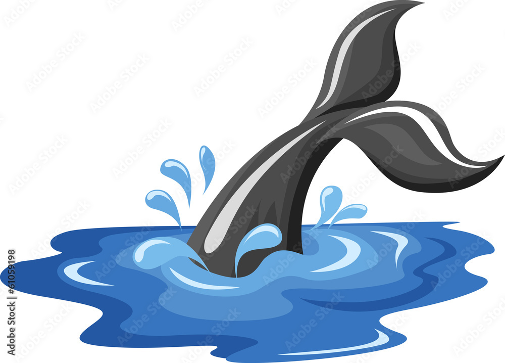 Obraz premium Tail Pope Vector