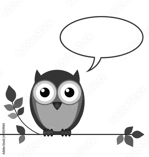 Owl talking with copy space for own text