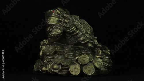 Money toad rotates on a black background loop