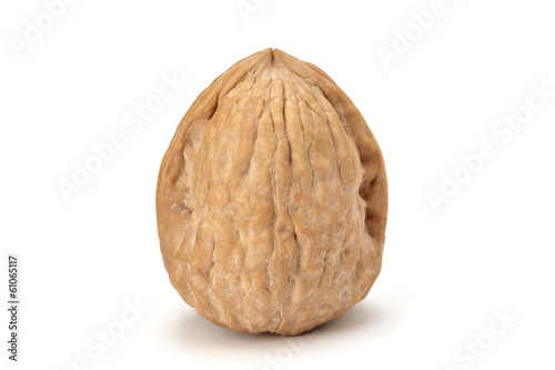 isolated walnut on white background