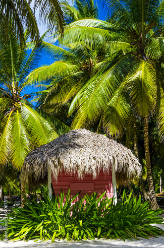 Pink cottage with a thatched roof on an exotic Caribbean beach