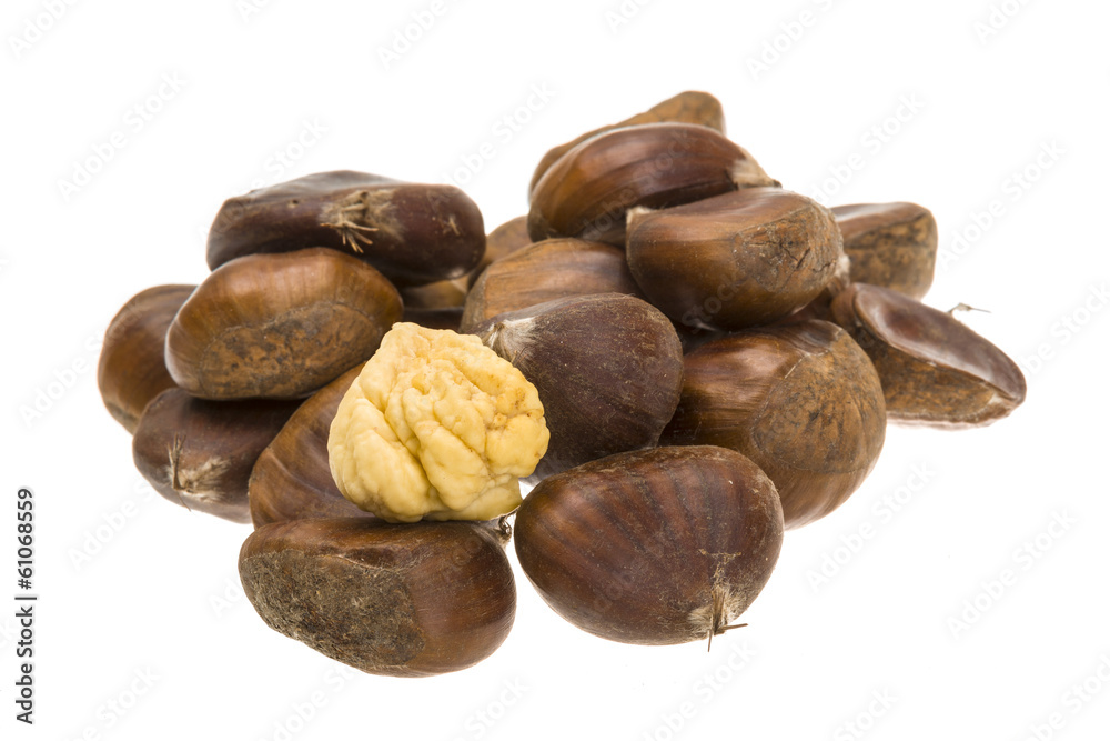 Chestnut Chestnut