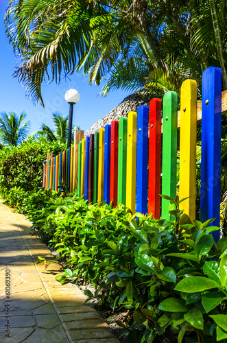 Colorful fence surrounded by palm trees