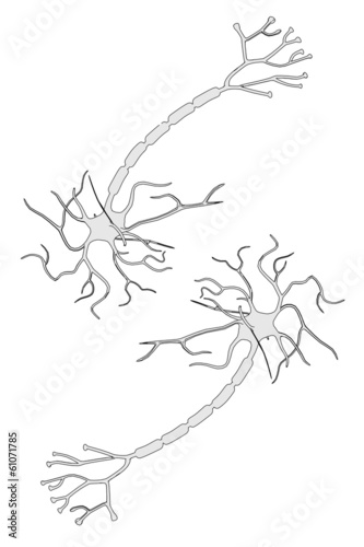 cartoon image of human neuron
