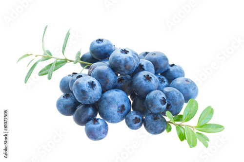 pile of blueberry