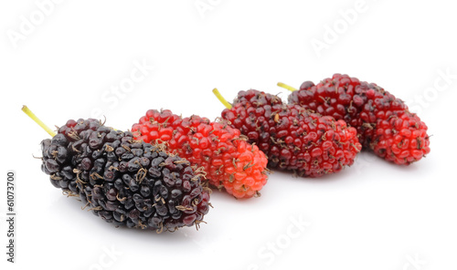 mulberry isolated on white background