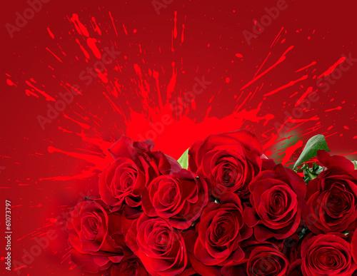 Red Roses over splash background