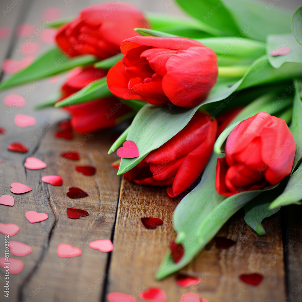 Tulpen Tulpen