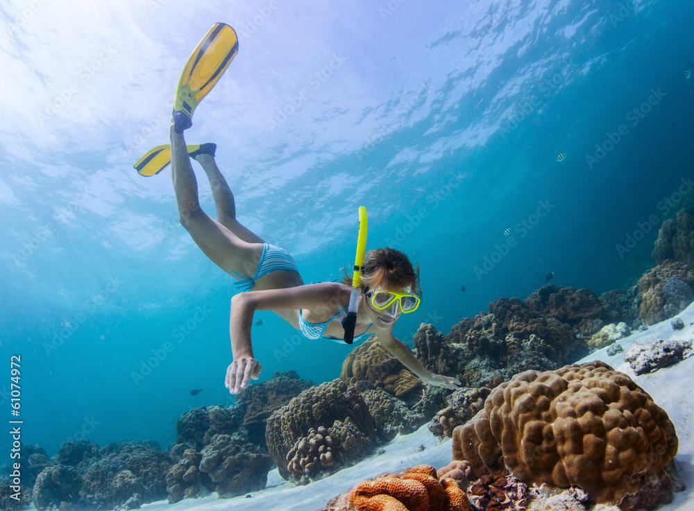 Fototapeta premium Snorkeling