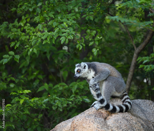 Madagascar
