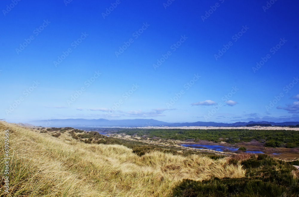 dunes landscape