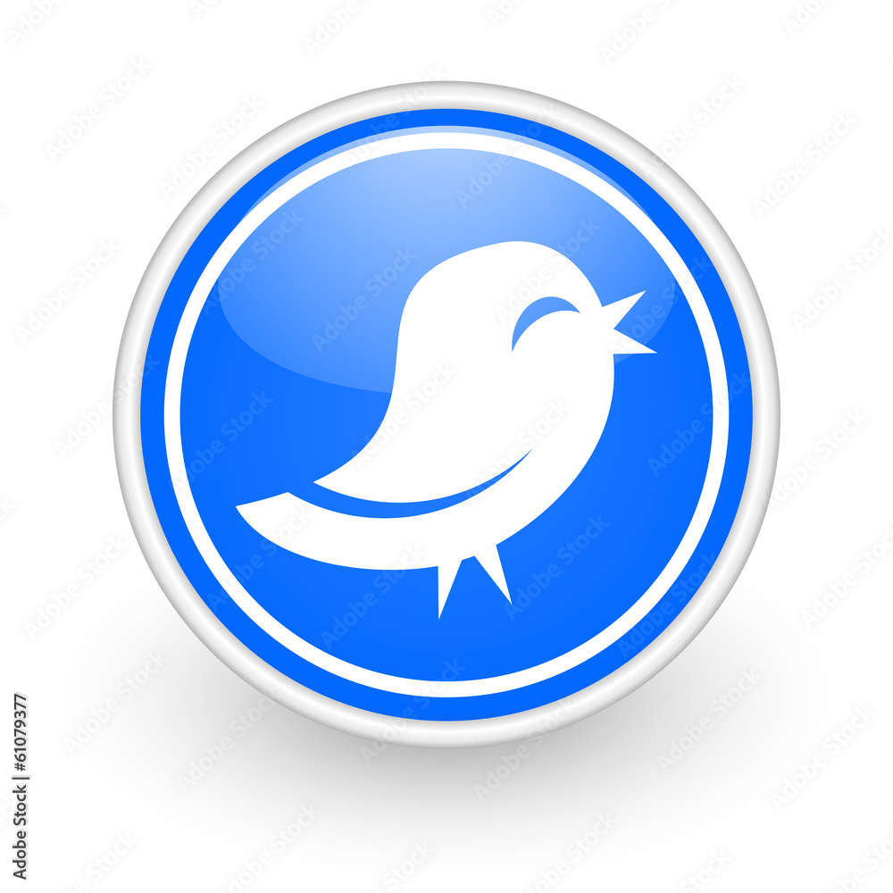 twitter icon twitter icon