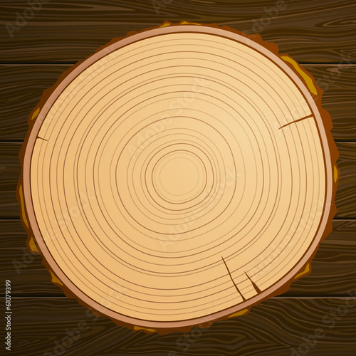 Vector Illustration of a Wood Background