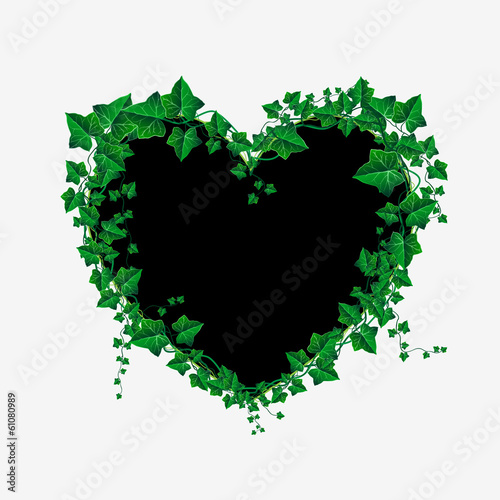Vector Ivy branch heart illustration