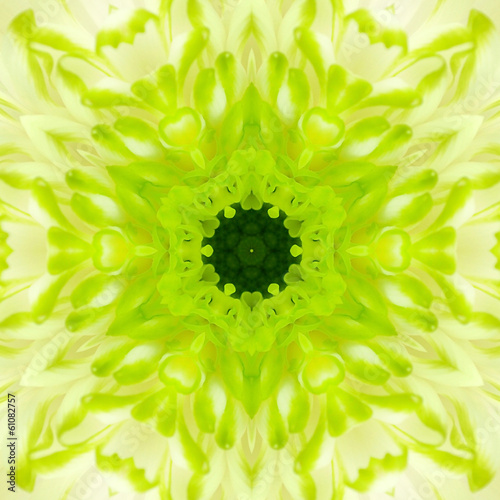 Green Concentric Flower Center. Mandala Kaleidoscopic design