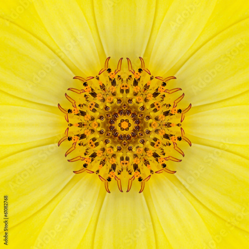 Yellow Concentric Flower Center. Mandala Kaleidoscopic design
