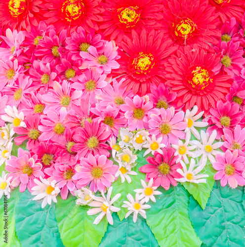 Flowers background