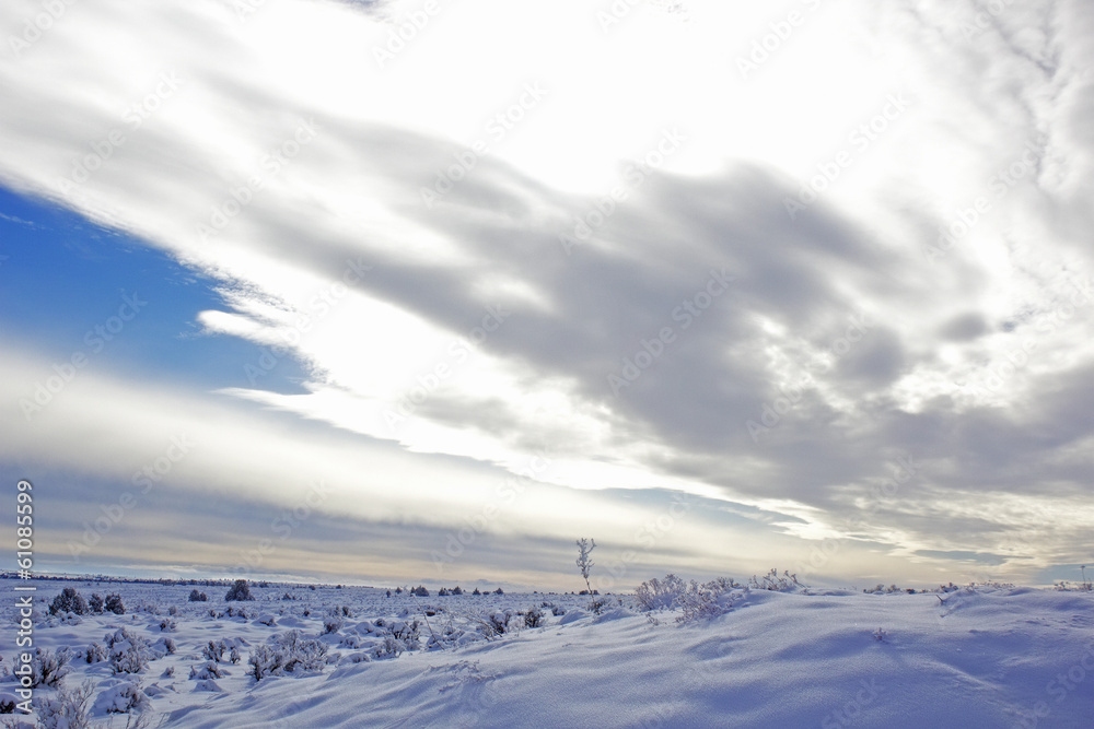 winter sky scene
