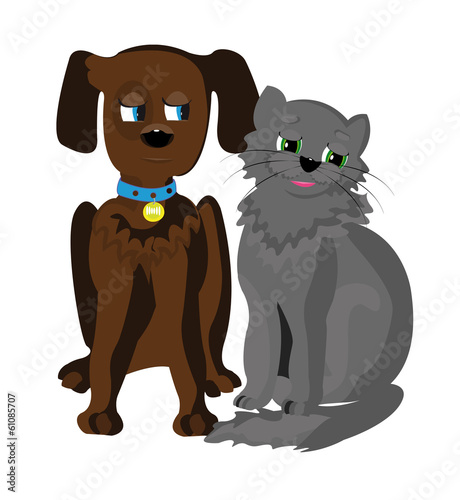 Cat and Dog side by side