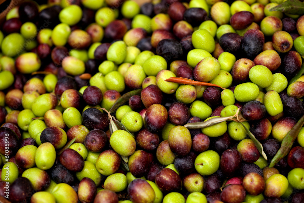 Frische schwarze und grüne Oliven auf einem Markt Frische schwarze und grüne Oliven auf einem Markt