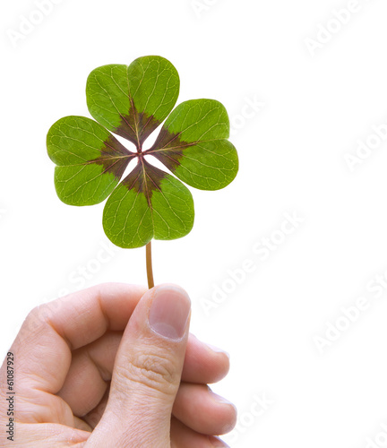 Hand mit Kleeblatt