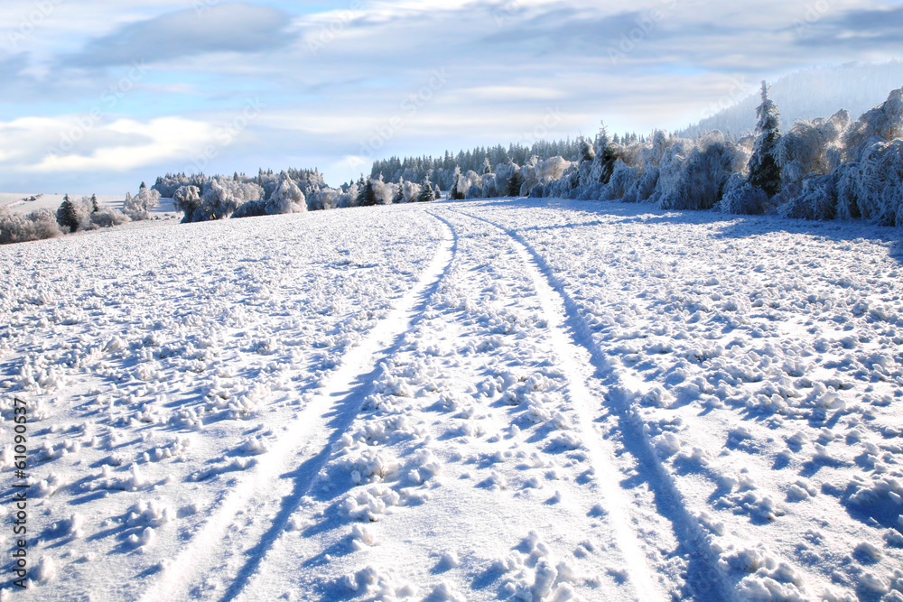 Rural road in snow. Winter country landscape.