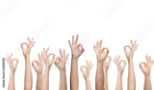 human hands showing ok sign
