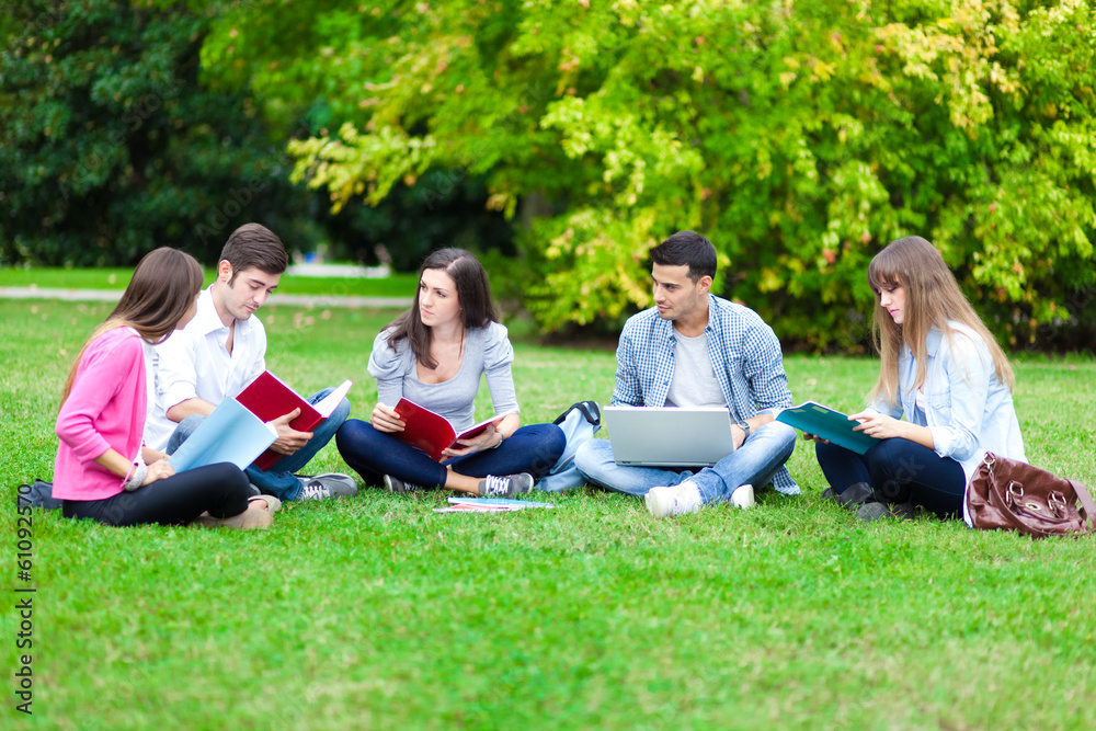 Group of students sitting on the grass