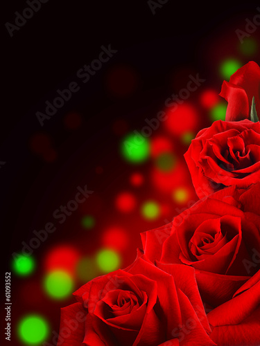 Red roses   Valentine background