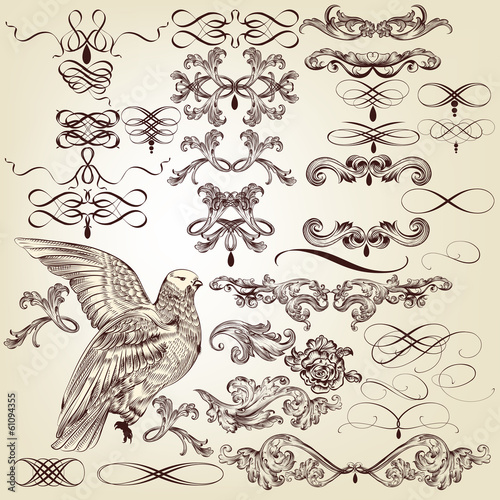 Collection of vector calligraphic design elements and flourishes