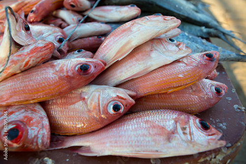 Fresh fishes at the fish market on the beach